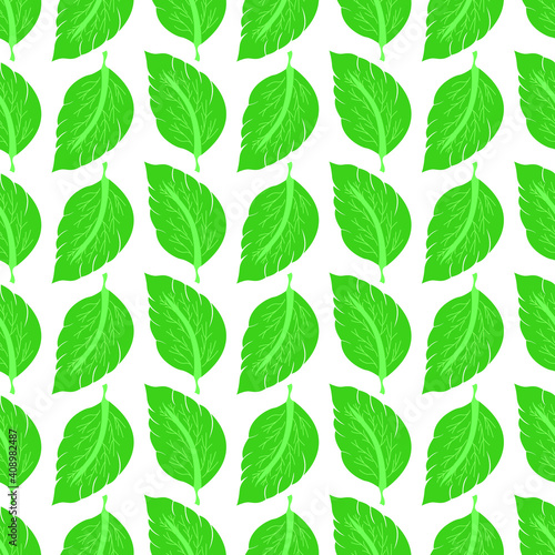 green leaves with white background seamless repeat pattern © disha