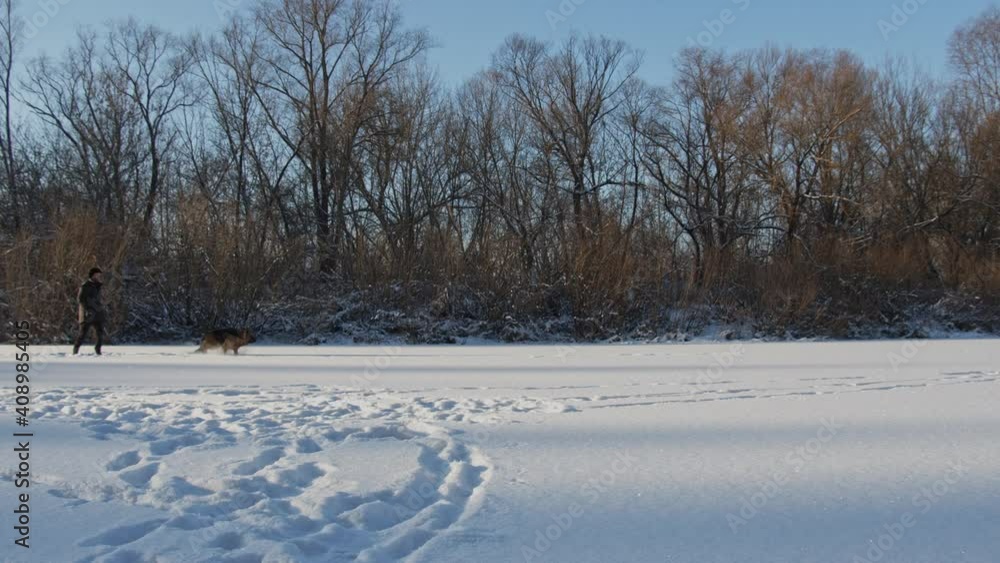 Man throws a stick training a dog a fetch command. Man training a large German shepherd in nature in winter. Handler training the big dog, slow motion. Man throws a stick training a dog a fetch command. Man training a large German shepherd in nature in winter. Handler training the big dog, slow motion.
