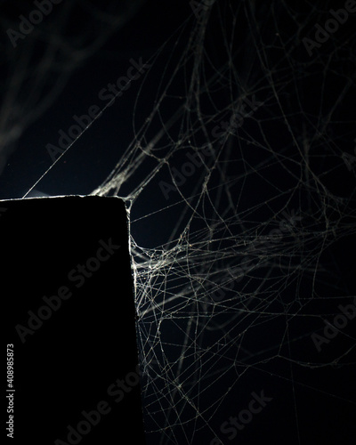 Spidersweb 