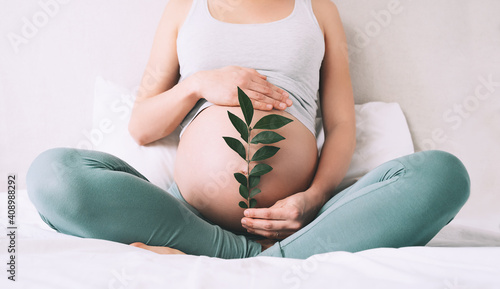 Pregnant woman holds green sprout plant near her belly as symbol of new life, wellbeing, fertility, unborn baby health. Concept pregnancy, maternity, eco sustainable lifestyle, gynecology. photo