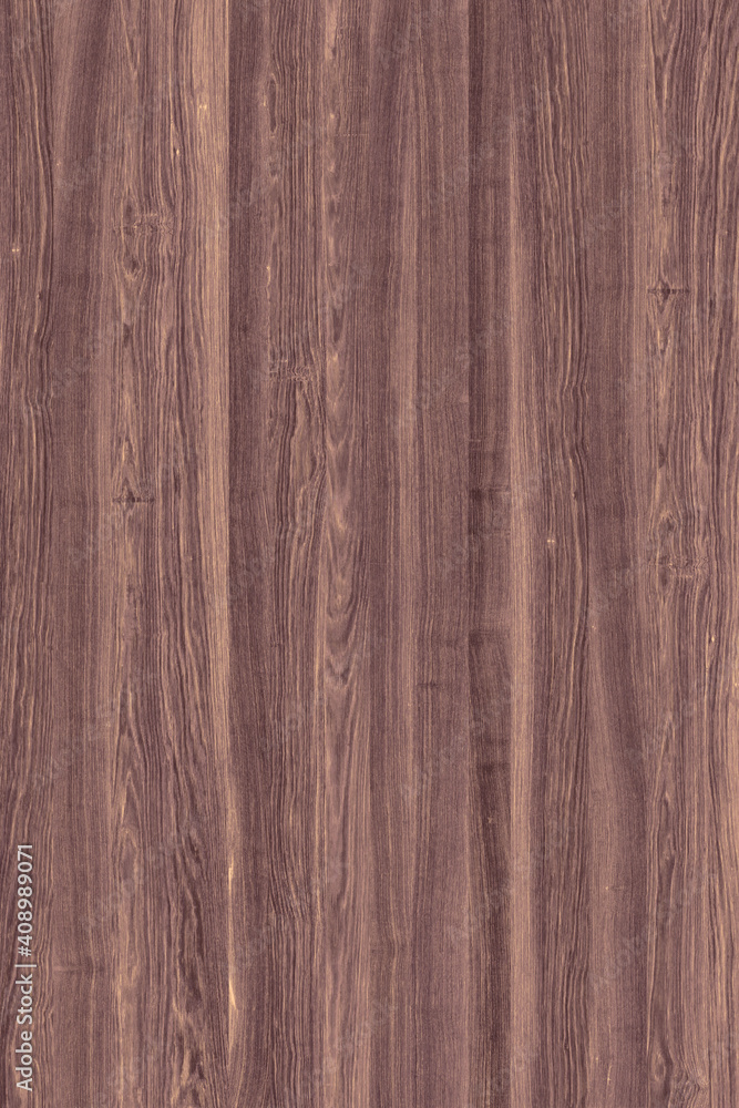 wooden tree timber background texture structure backdrop