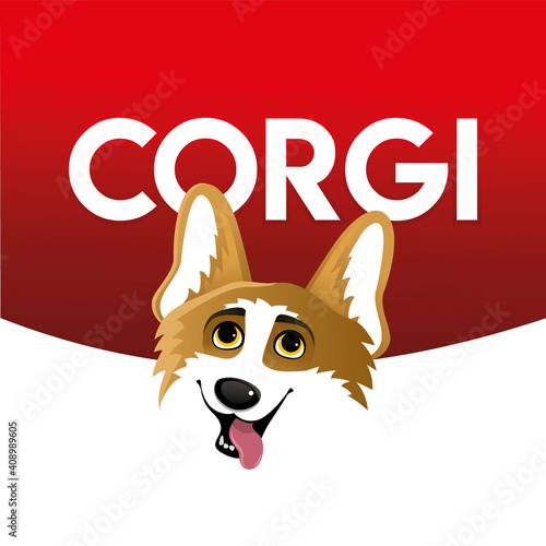 Corgi. Funny orange smiling welsh corgi vector illustration, cute comic canine character