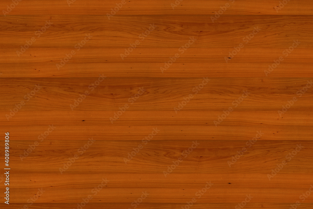 maple wood tree timber background texture structure surface maple wood tree timber background texture structure surface