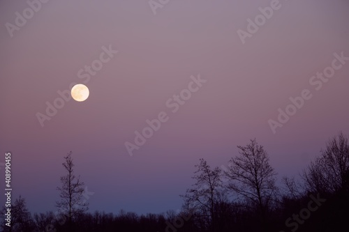 Mysterious night scene with full moon
