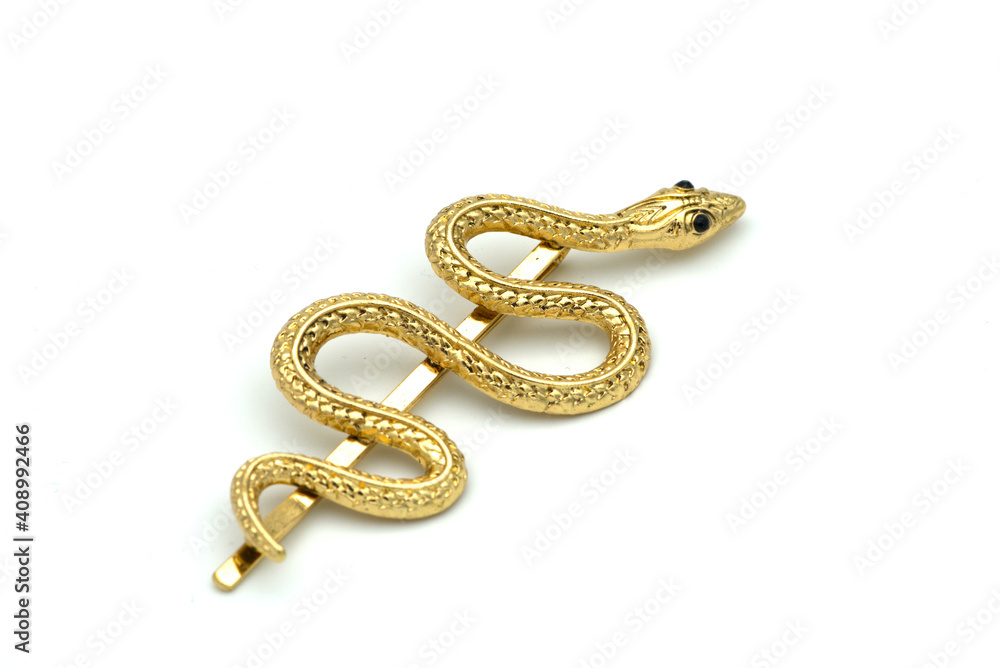 Brooch with bolden snake on white background. Brooch with bolden snake on white background.