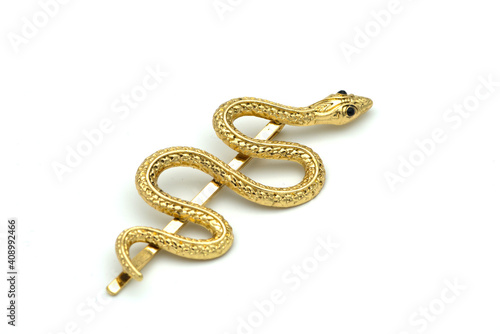 Brooch with bolden snake on white background.