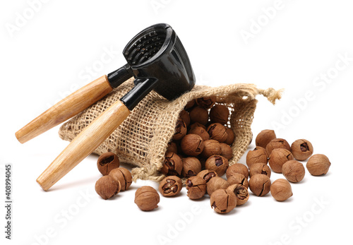 shagbark hickory nuts on white background photo