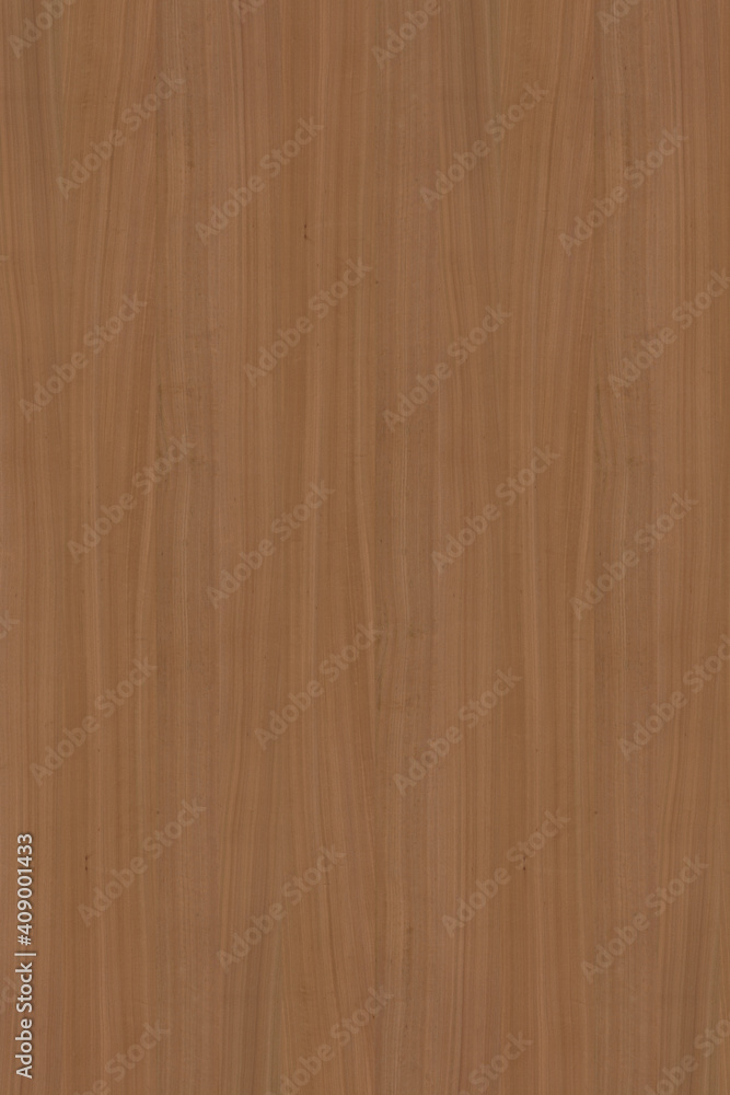 brown wooden tree timber background texture structure backdrop high size brown wooden tree timber background texture structure backdrop high size