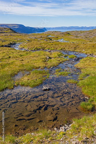 Transparent river flowing through tundra landscape with background of fjord of Barents sea. Short polar summer in Finnmark, Norway. © Arkadii Shandarov