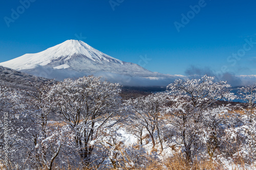 山中湖村パノラマ台から木々に咲く雪の花と雪化粧の富士山