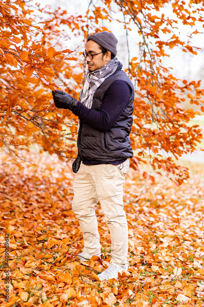 Man in a park looking at some leaves on a tree Man in a park looking at some leaves on a tree