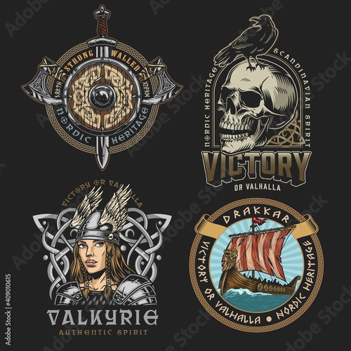 Viking colorful vintage designs