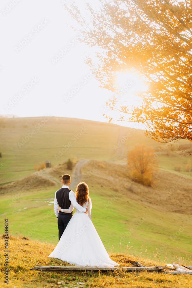 Wedding couple standing and embracing on a hill meadow and enjoys the view of the summer sunset.