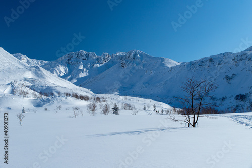 北海道 十勝岳連峰の冬の風景