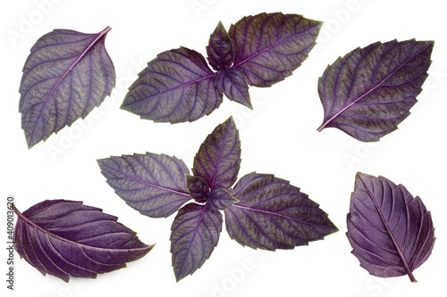 Red basil leaves isolated on white background