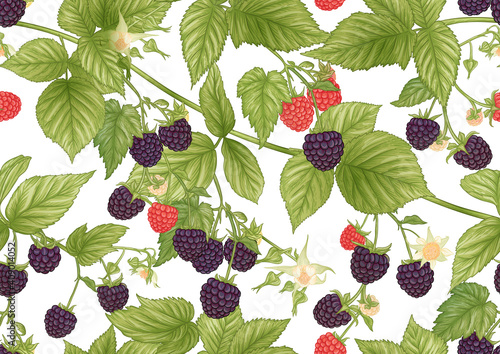 Blackberry. Ripe berries on branch. Seamless pattern, background. Graphic drawing, engraving style. Vector illustration