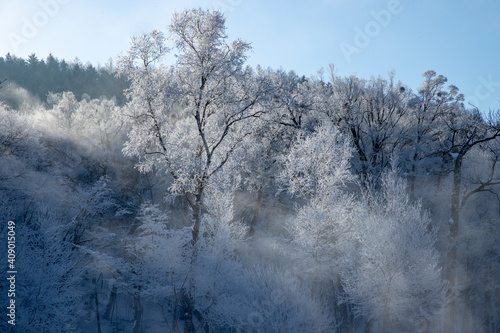 北海道冬の風景 富良野の樹氷