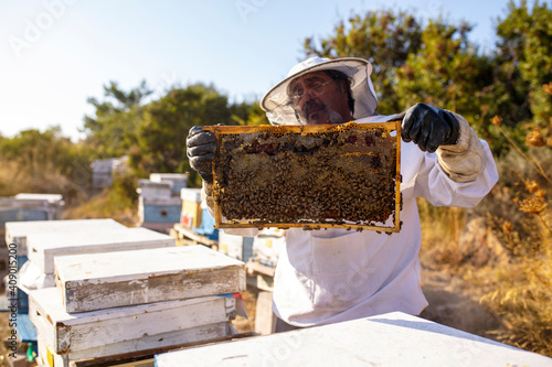 Bee keeper removing rack outside of hive. organic honey and beekeeping concept  © Emir
