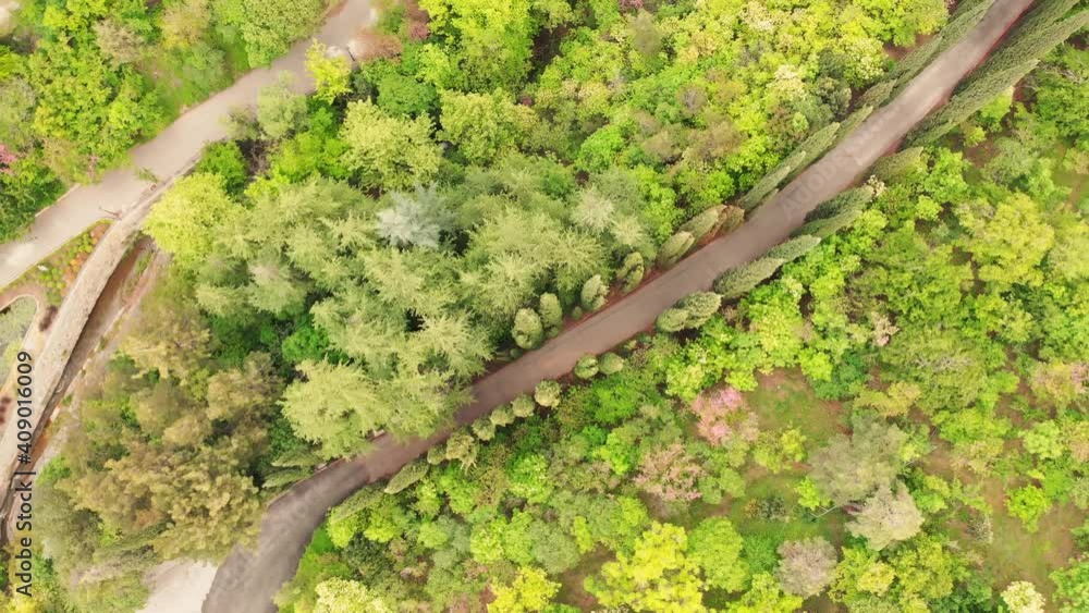Aerial ascending view of empty botanical garden with various trees and pathways. Tbilisi national botanical garden Aerial ascending view of empty botanical garden with various trees and pathways. Tbilisi national botanical garden