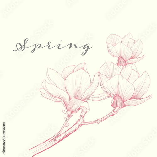The elements Magnolia flower Hand drawing and sketch,line art on white backgrounds vector hand drawn botanical.vector magnolia for background,texture, wrapper pattern.