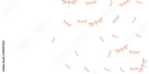 Fairy rosy pink dragonfly isolated vector illustration. Spring funny insects. Fancy dragonfly isolated kids wallpaper. Delicate wings damselflies patten. Nature beings