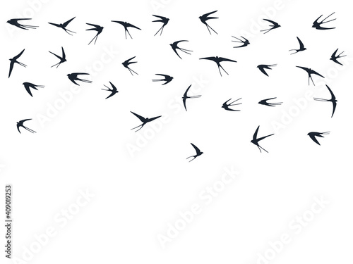 Flying swallow birds silhouettes vector illustration. Nomadic martlets bevy isolated on white.