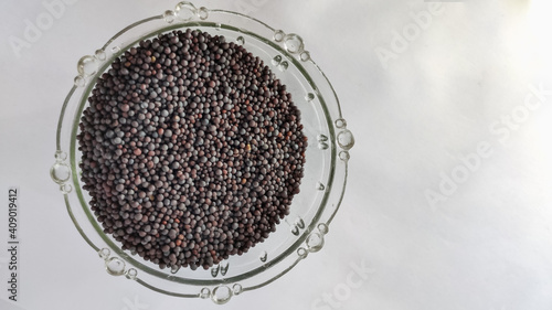mustard seeds in glass bowl on a white isolated surface