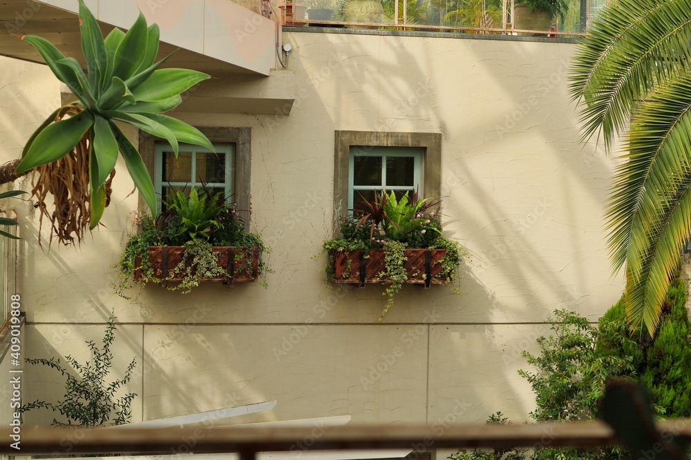 植物が綺麗に飾ってある向かい側の窓