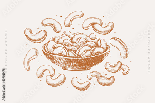 Hand-drawn cashew nuts. Exotic fruits, sliced and whole. Organic food concept. Can be used for your design. Vintage botanical illustration on a light isolated background.