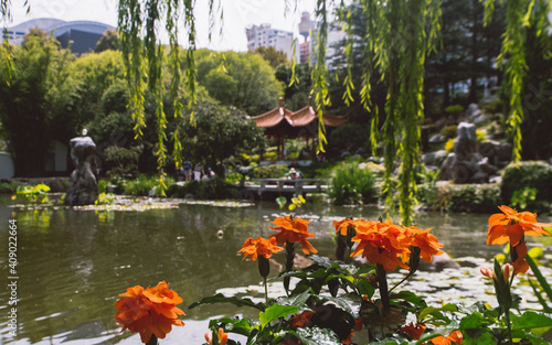 Photography Australien, Sydney, Chinatown