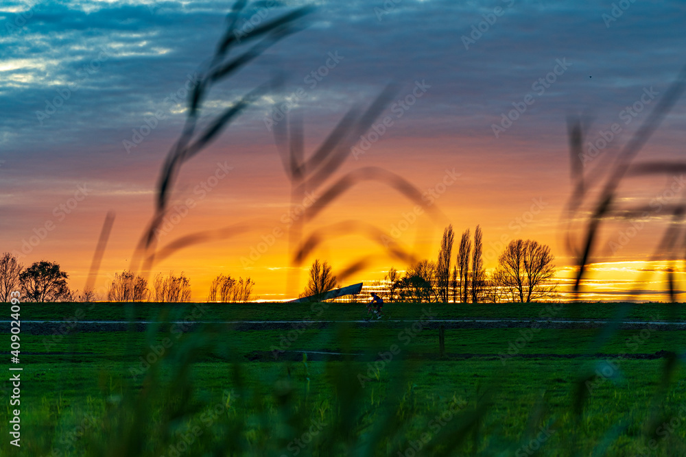 Fototapeta premium Behind the reeds along lake Zoetermeerse Plas, a cyclist cycles under a sky that takes on magical colors due to the setting sun and in the background the covered ski slope of Snowworld