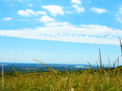 Grass  sky and horizon