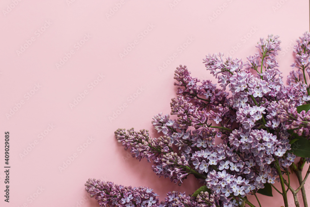 Stylish spring flat lay. Lilac flowers on pink paper, floral greeting card with space for text