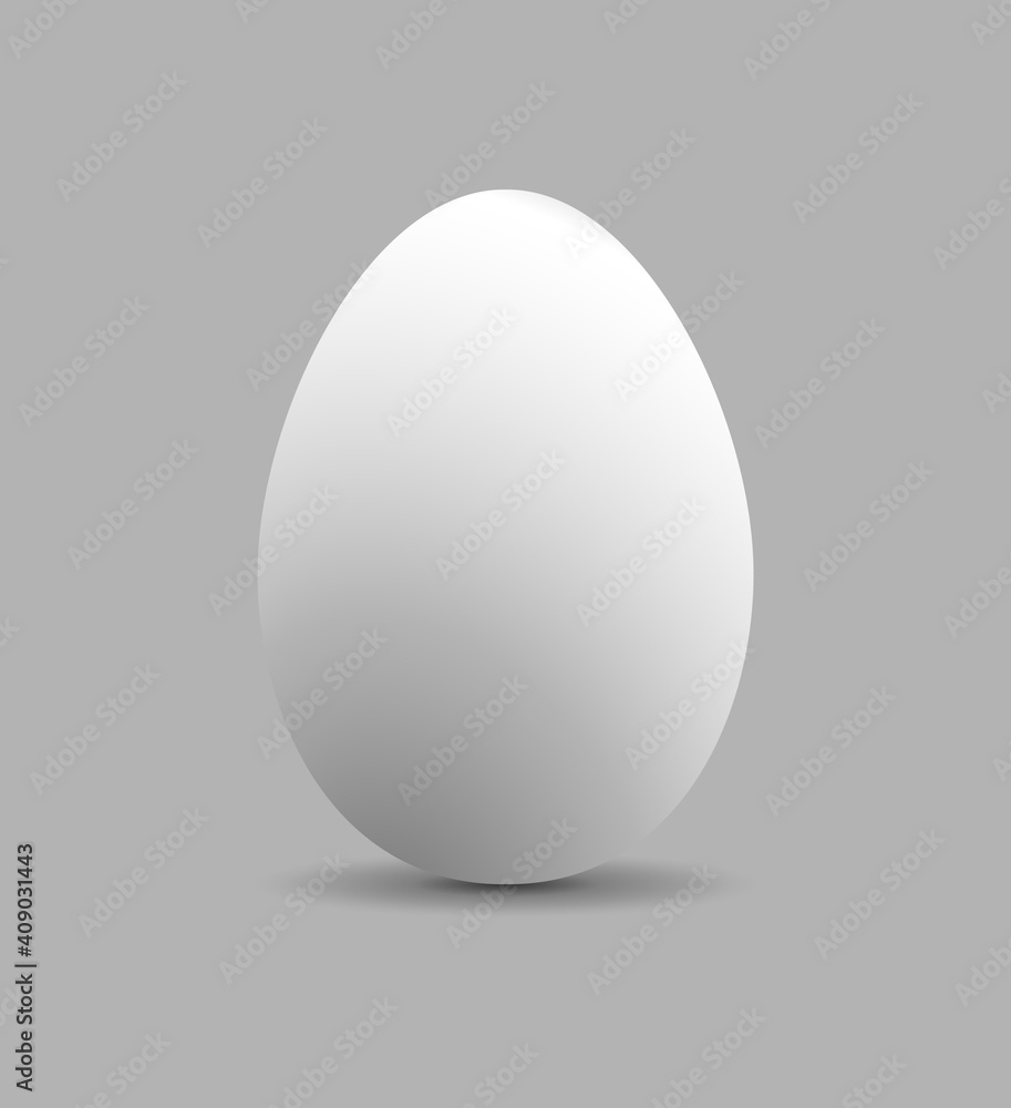 White egg isolated. White egg located vertically on gray background.  White egg with shadow. Vector illustration