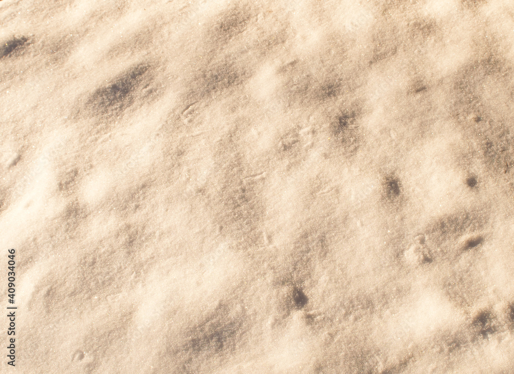 Snow in the early morning in the forest Snow in the early morning in the forest