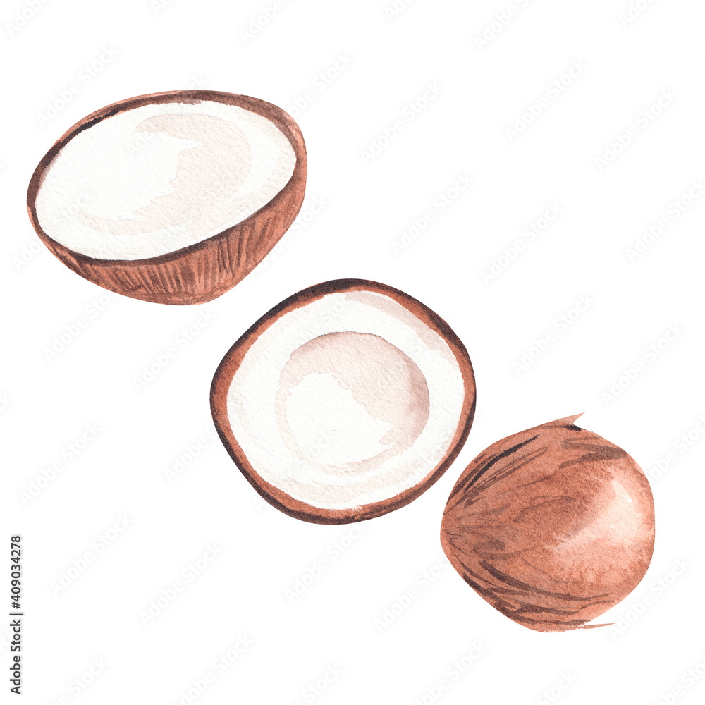 coconut cut and coconut coconut cut and coconut