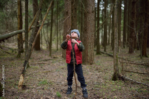 Little boy in red vest is playing with big branch and having fun in coniferous forest on early spring day. Outdoor activity for children.