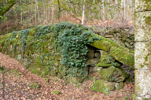 route of the mills of samieira, poio, pontevedra photo