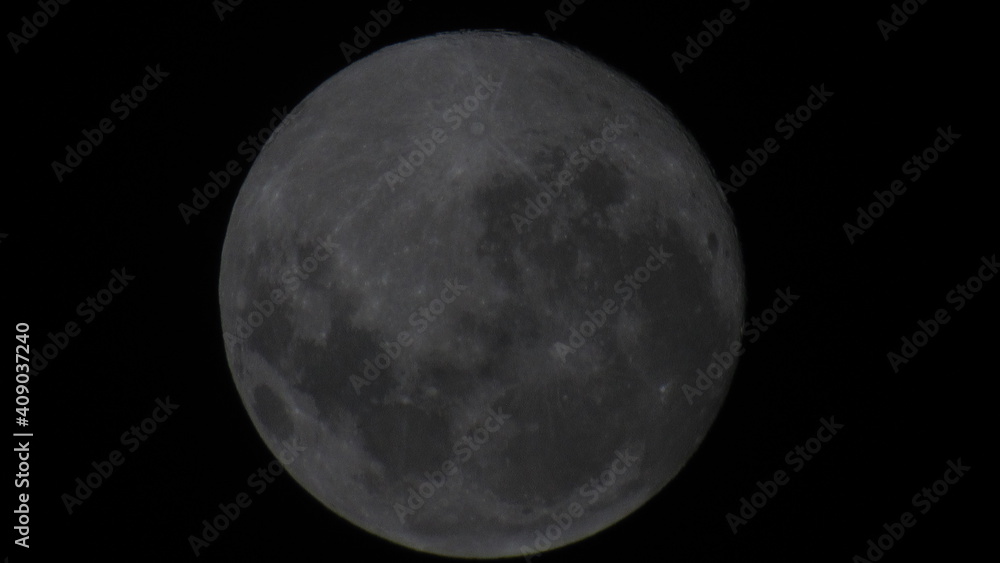 Fototapeta premium moon