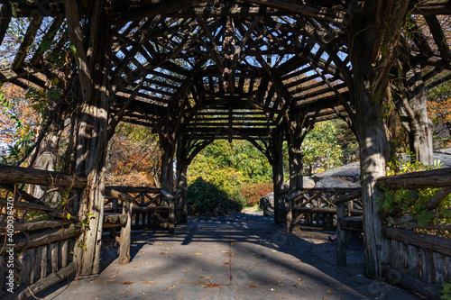 Inside a Beautiful Wood Gazebo at Central Park during Autumn in New York City