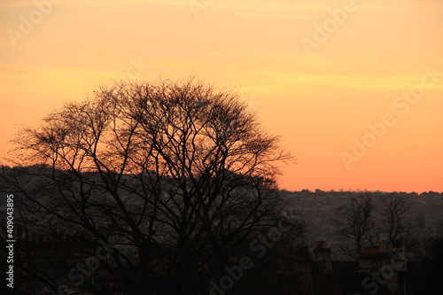 sunset in the park