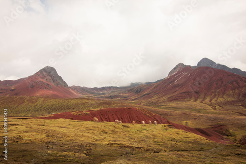 Red Rock Valley © Manuel Mejia