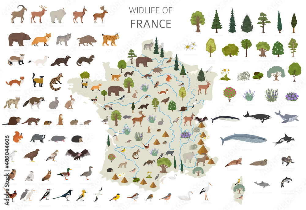 Fototapeta premium Flat design of France wildlife. Animals, birds and plants constructor elements isolated on white set. Build your own geography infographics collection.