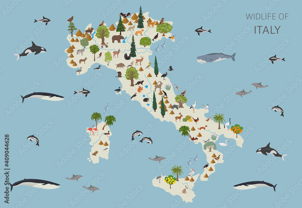 Fototapeta premium Flat design of Italy wildlife. Animals, birds and plants constructor elements isolated on white set. Build your own geography infographics collection.