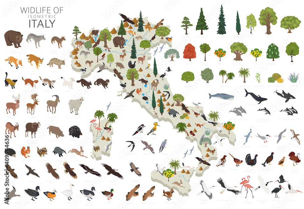 Obraz premium Isometric 3d design of Italy wildlife. Animals, birds and plants constructor elements isolated on white set. Build your own geography infographics collection