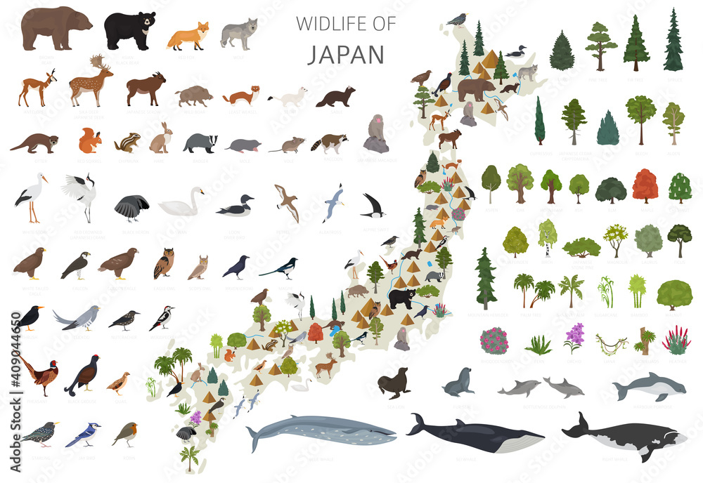 Fototapeta premium Flat design of Japan wildlife. Animals, birds and plants constructor elements isolated on white set. Build your own geography infographics collection.