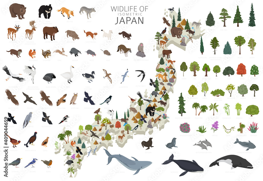 Fototapeta premium Isometric 3d design of Japan wildlife. Animals, birds and plants constructor elements isolated on white set. Build your own geography infographics collection