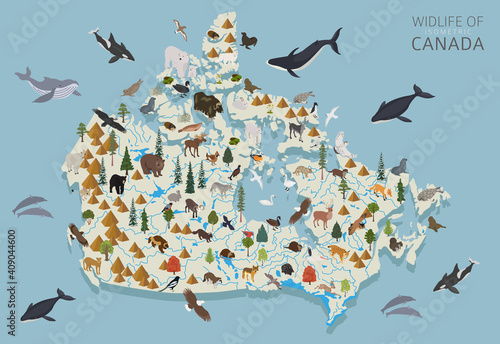 Isometric 3d design of Canada wildlife. Animals, birds and plants constructor elements isolated on white set. Build your own geography infographics collection.