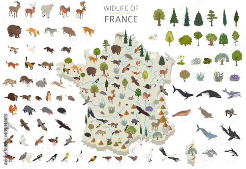 Isometric 3d design of France wildlife. Animals, birds and plants constructor elements isolated on white set. Build your own geography infographics collection.