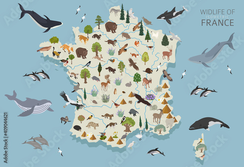 Isometric 3d design of France wildlife. Animals, birds and plants constructor elements isolated on white set. Build your own geography infographics collection.